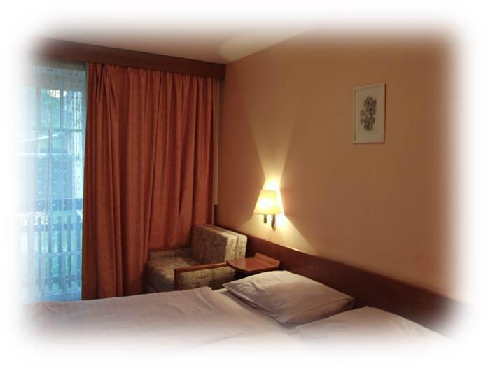 Hotel Prom Svoboda nad Upou Room photo